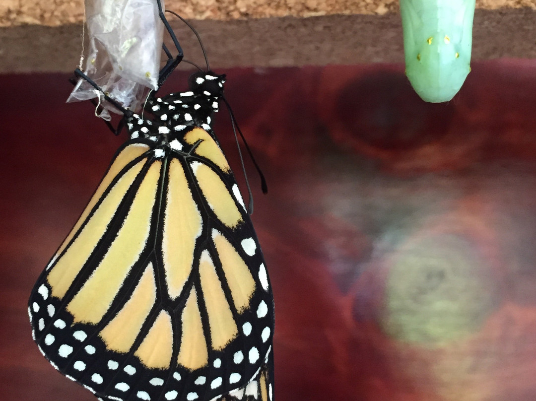 Casa Alegría-Canaan必去景点