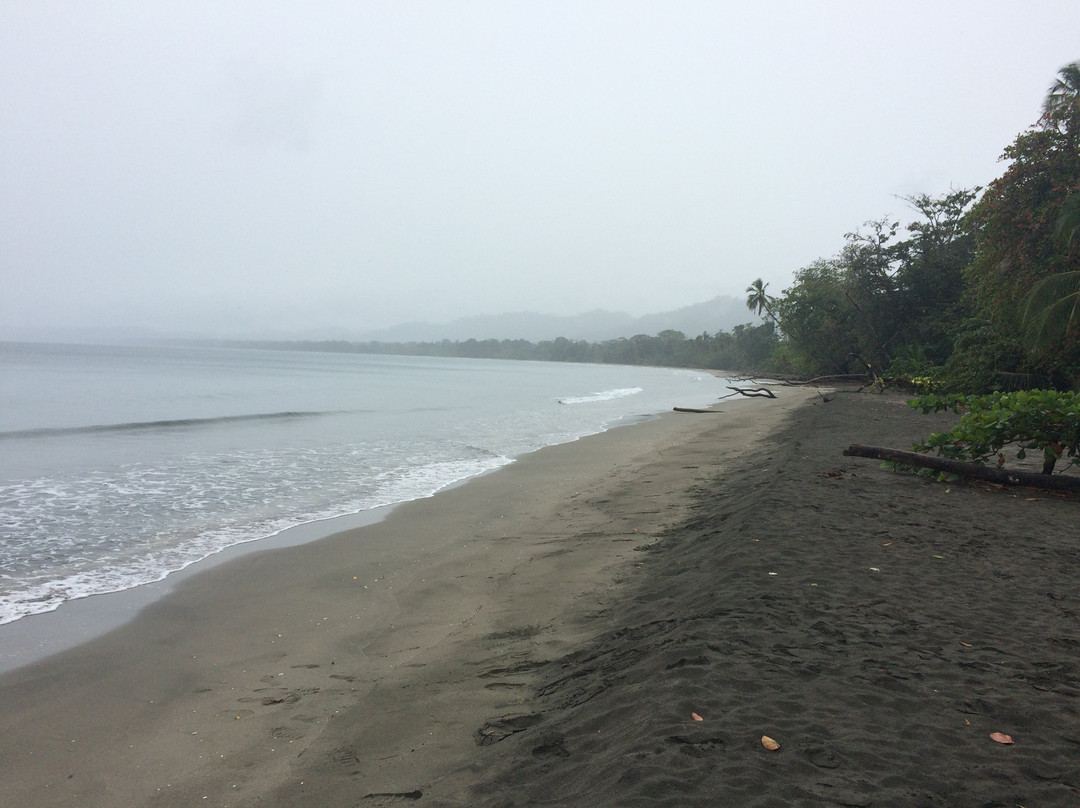 Costa Rica Caribe Tours景点图片