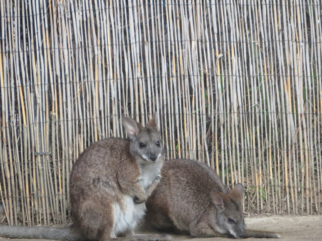 快乐山谷公园和动物园-圣何塞必去景点