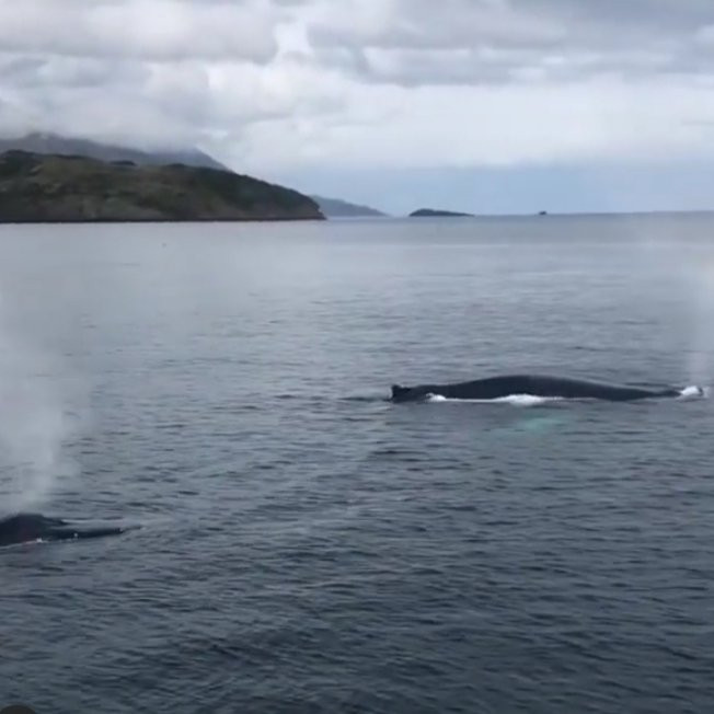 Cabo Froward-蓬塔阿雷纳斯必去景点