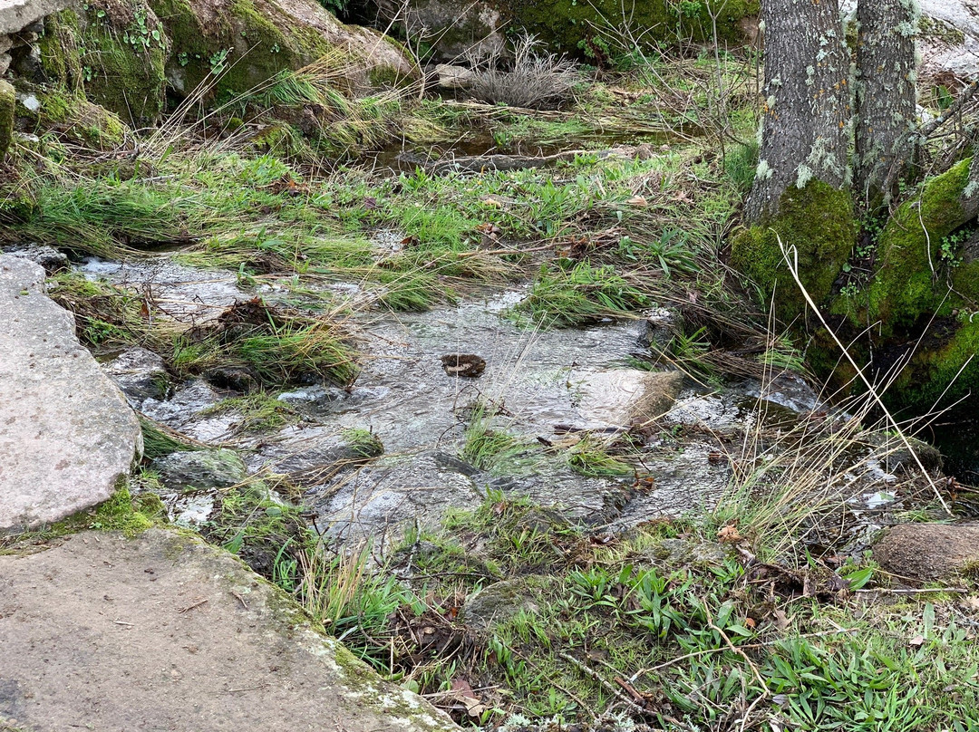 Parque Natural Arribes del Duero-Sobradillo必去景点