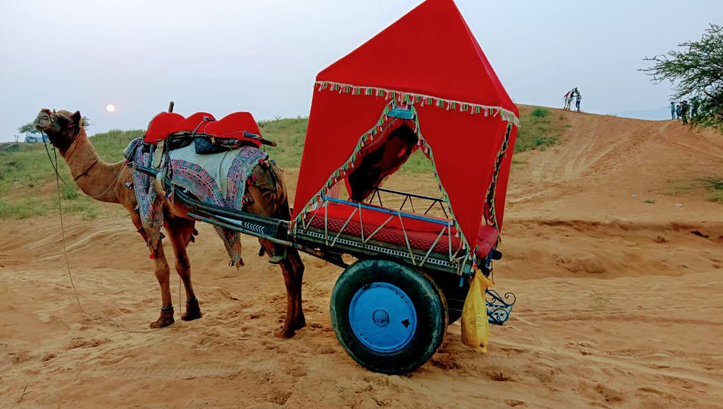 Sudama Pushkar Camel Safari in Desert-普希卡必去景点