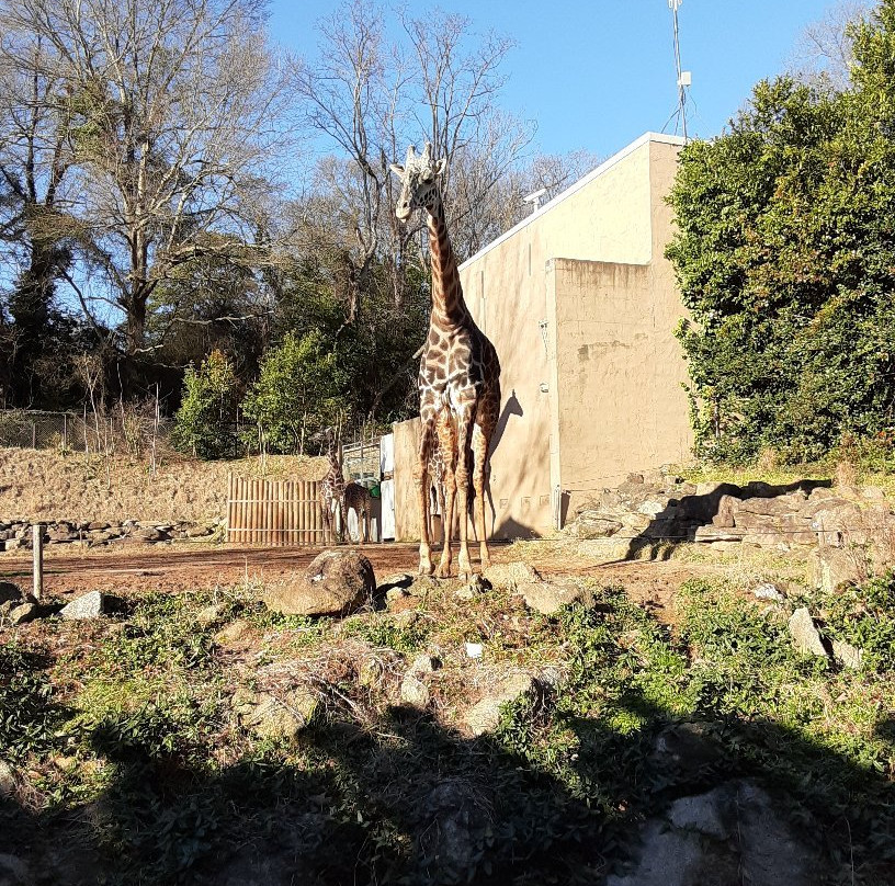 Greenville Zoo景点图片