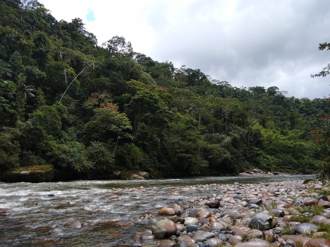 Playa Selva Lodge主图