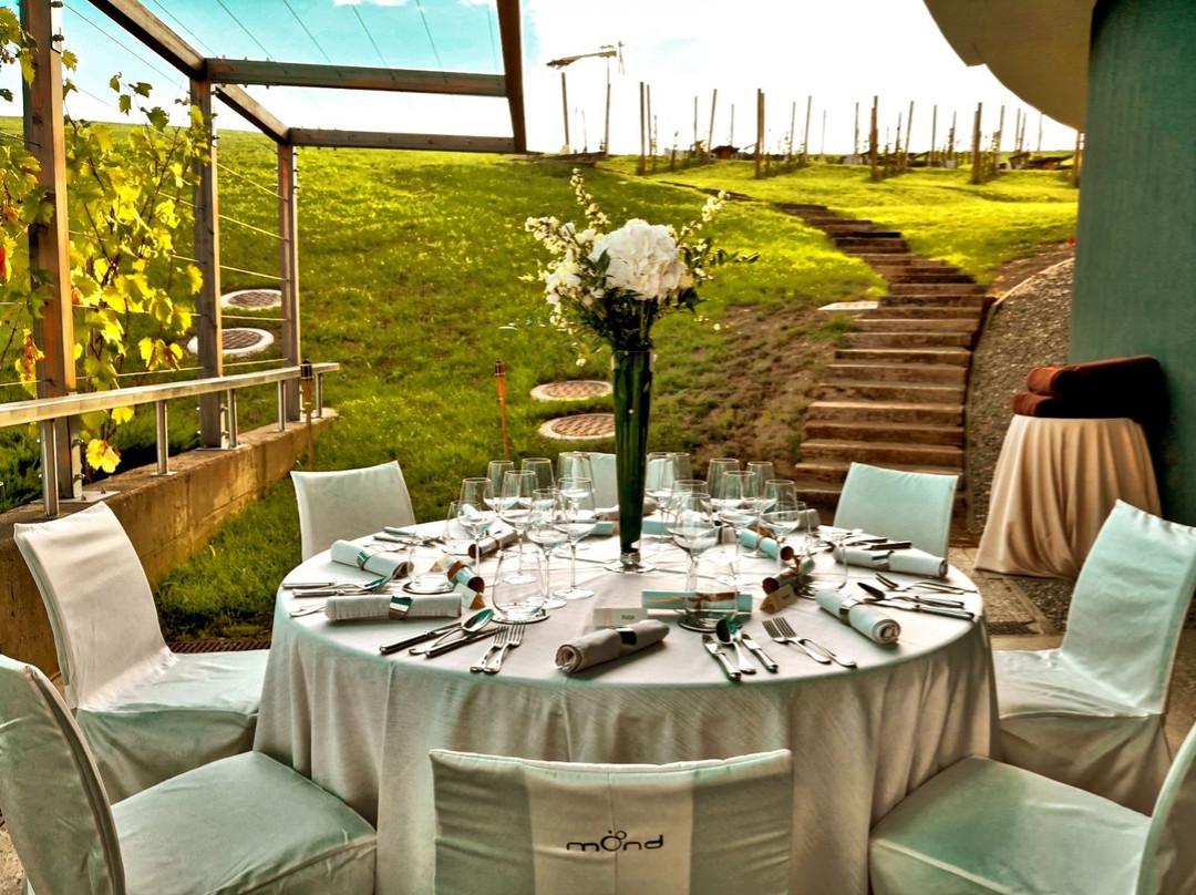 Mond, Resort & Entertainment主图