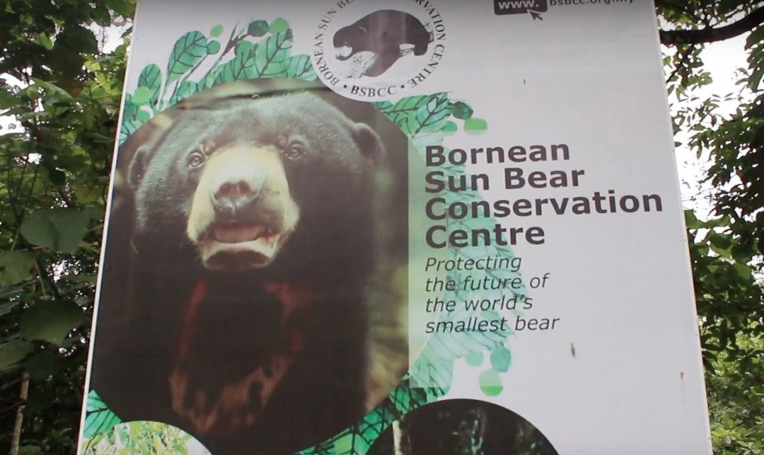 Bromo Ijen Crater Tour-巴纽旺宣必去景点