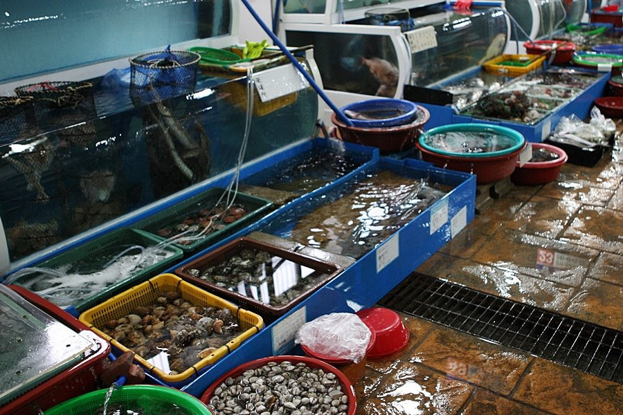 Suhyup Susanmul Center-高兴郡必去景点