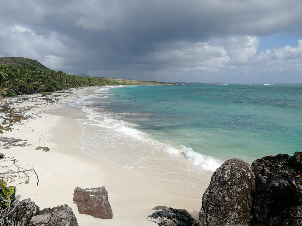 Cap Macre-Le Marin必去景点