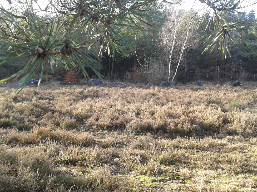 Steingarten Lamstedt-Lamstedt必去景点