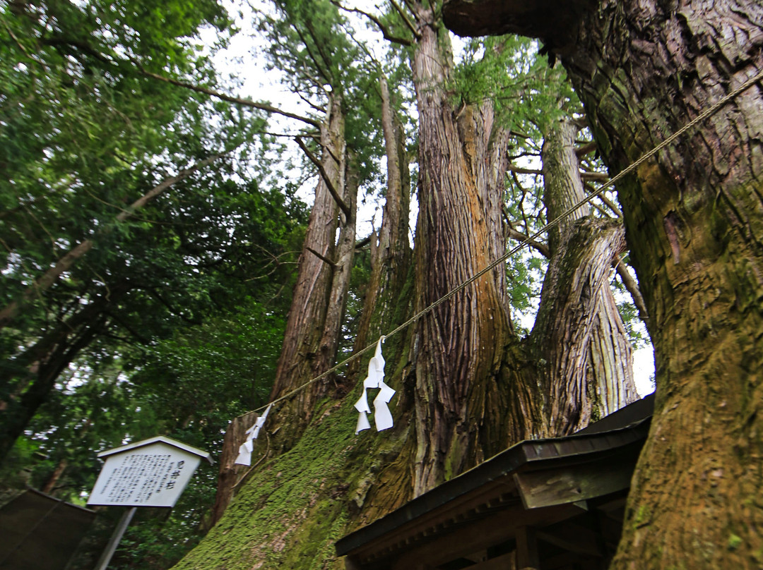 Hagihiyoshi Shrine-都几川町必去景点