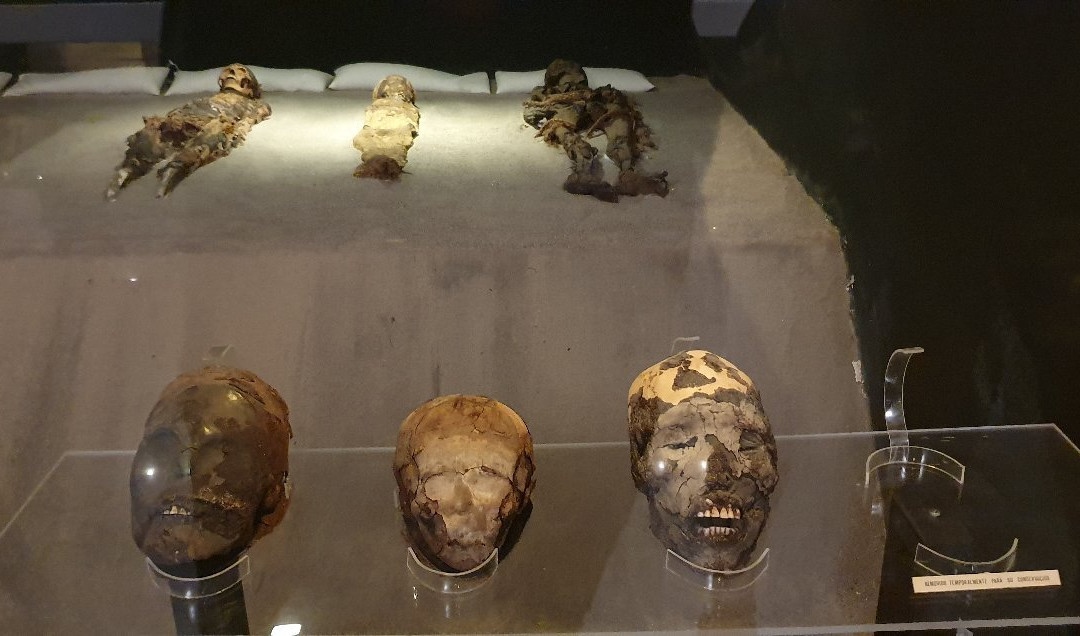 Museo Momias Chinchorro-阿里卡必去景点