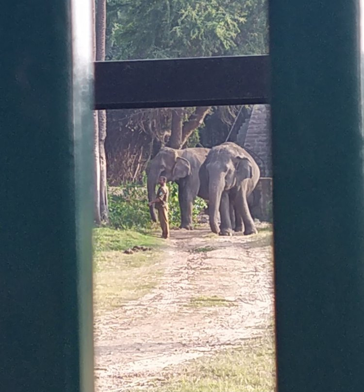Nehru Zoological Park景点图片