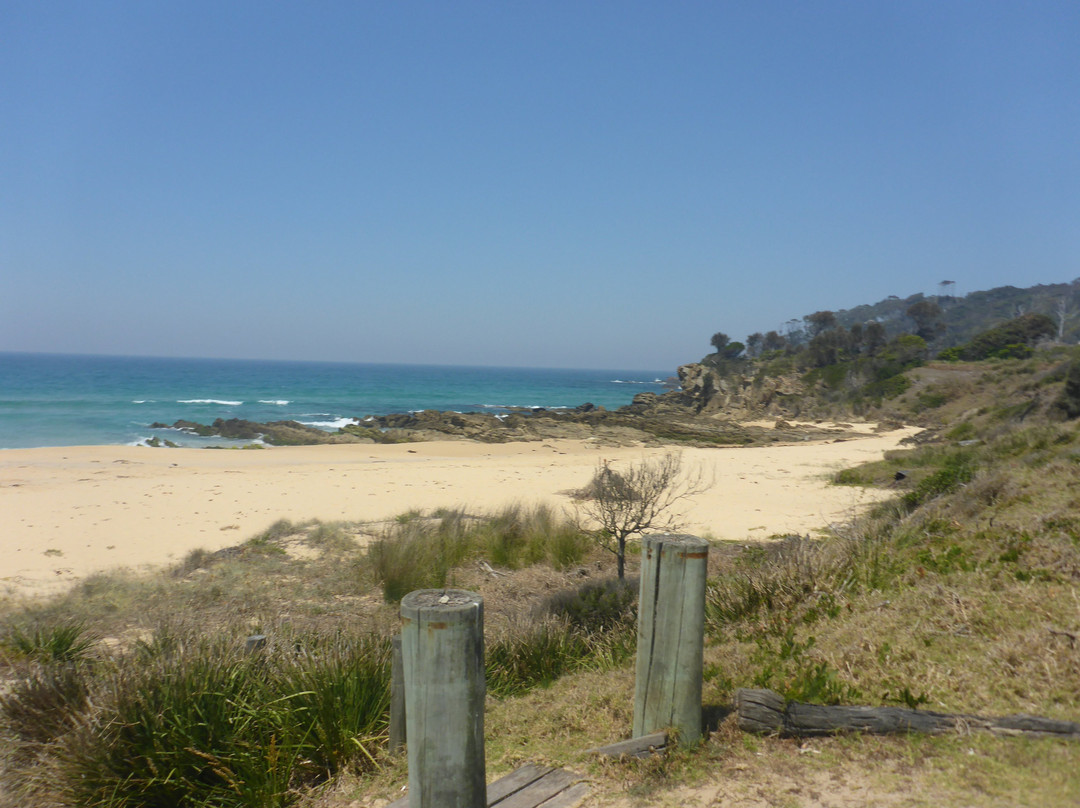 Cuttagee Beach-Cuttagee必去景点