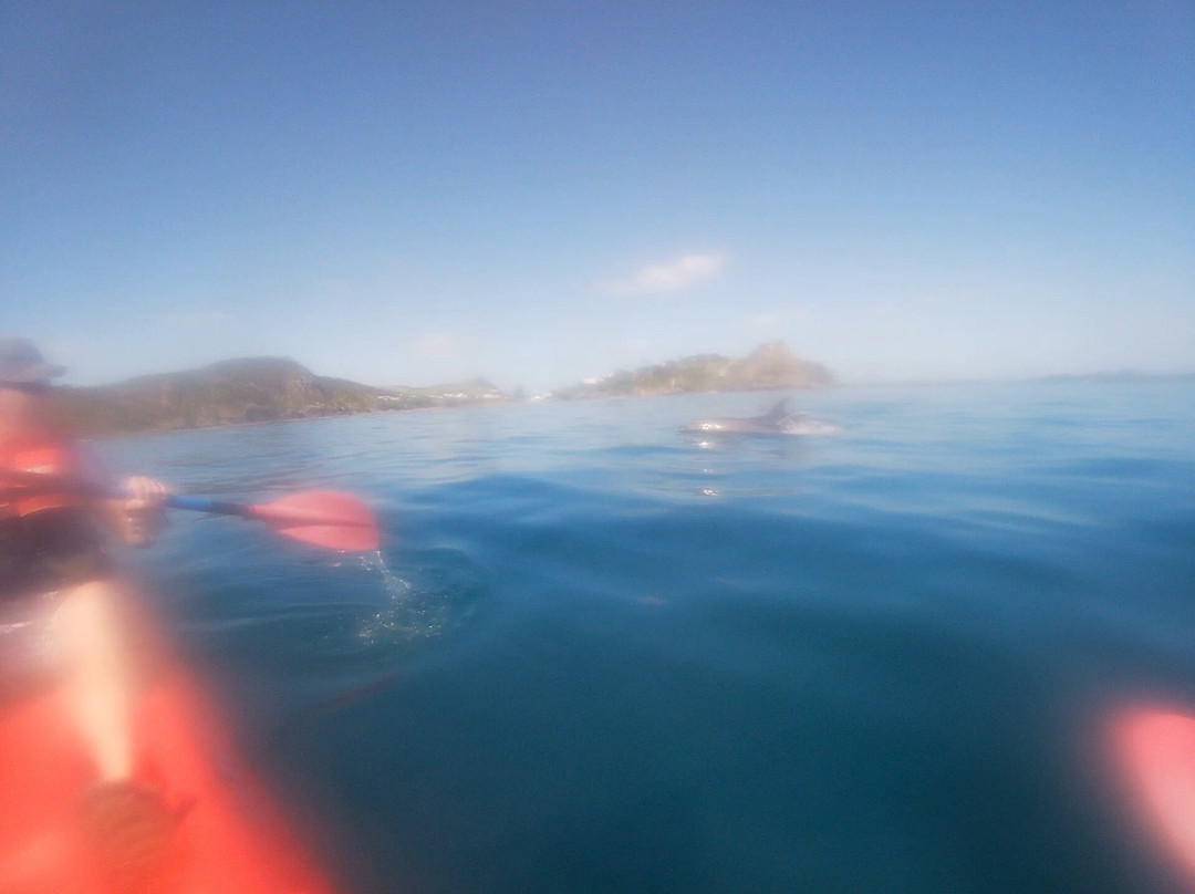 科科莫公寓主图