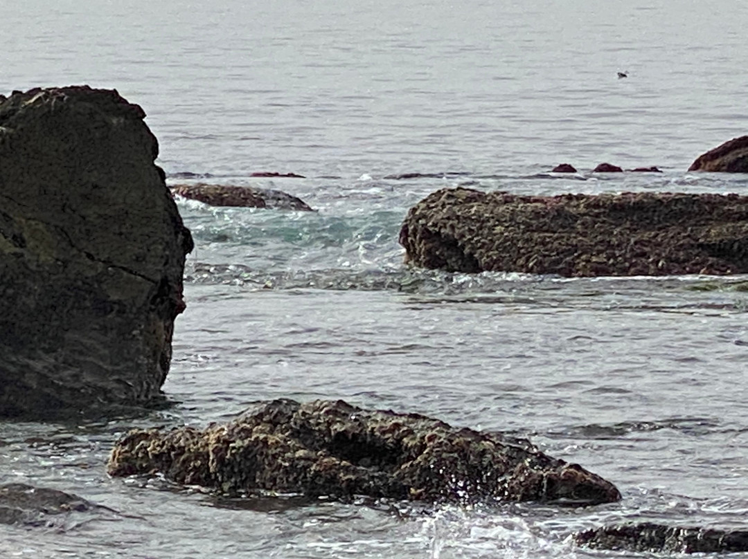 Crystal Cove State Park