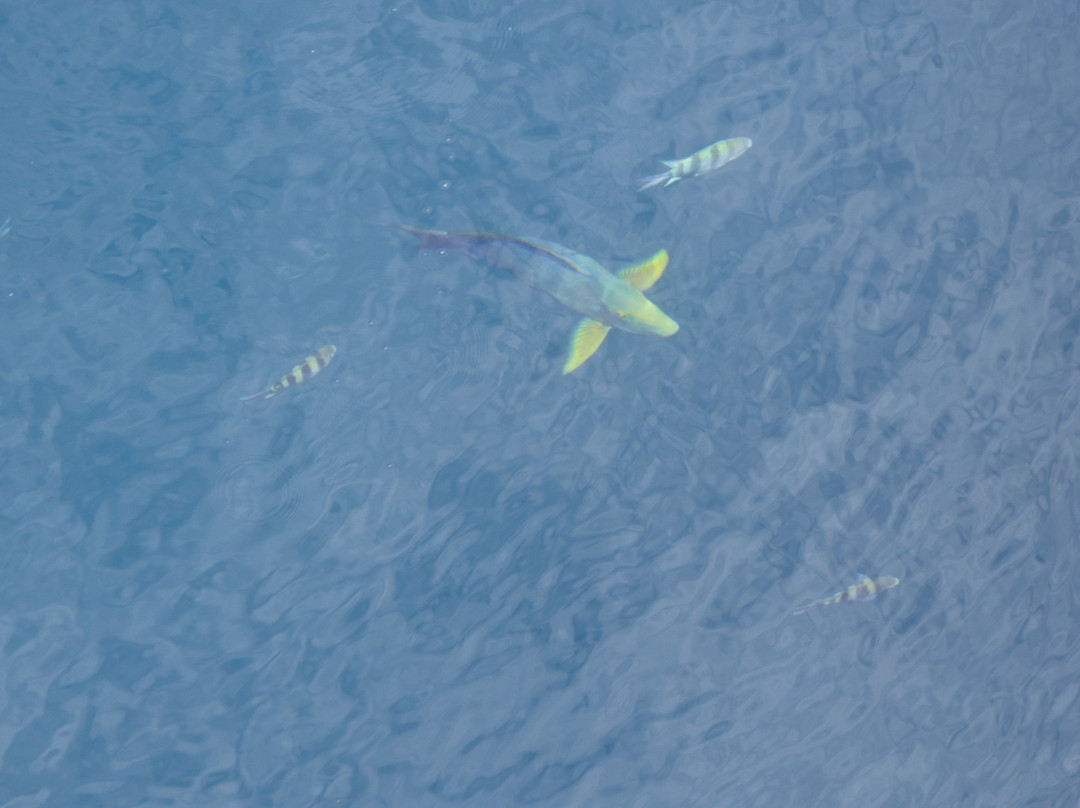 Blue Hole of Hanawa-Ouvea必去景点