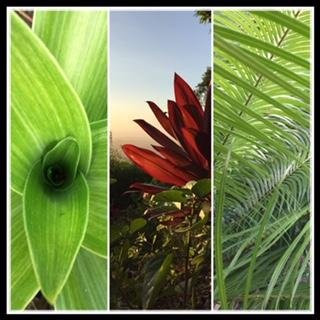 Natures Healing Home-San Fernando La Union必去景点