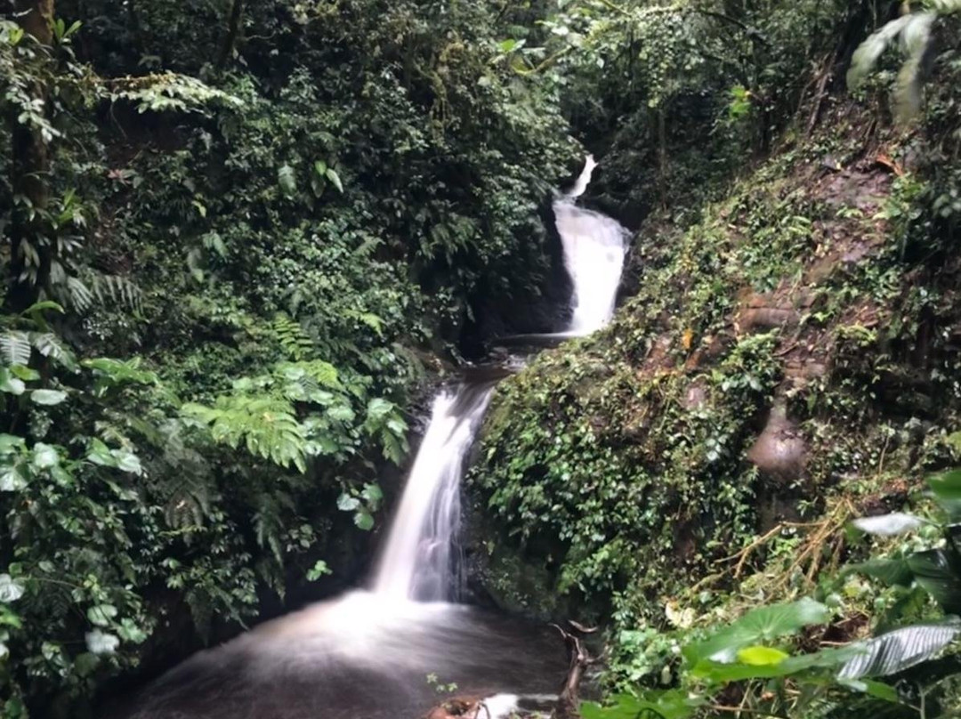 Monteverde Morning Walk景点图片
