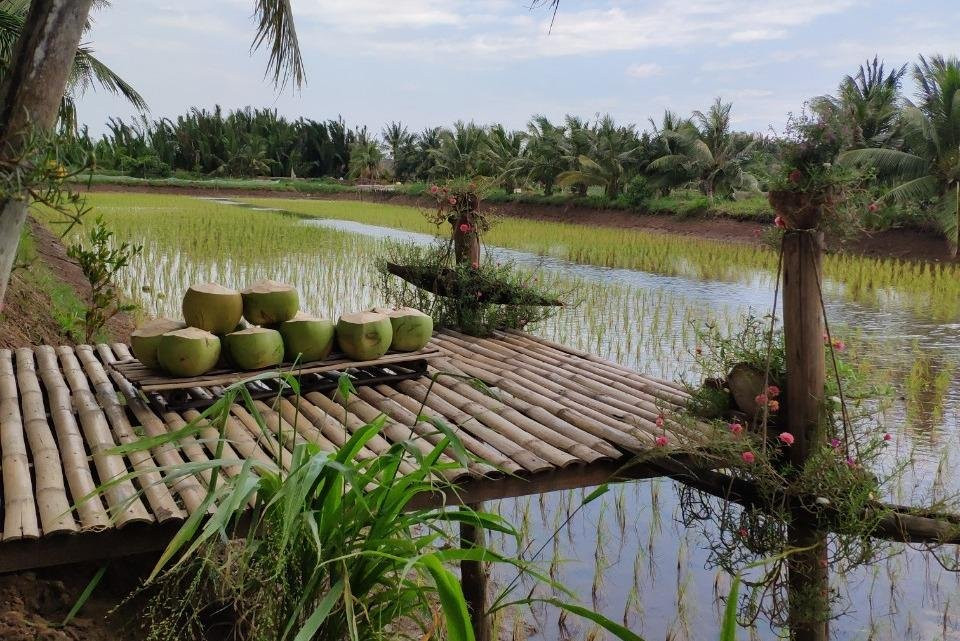 Mita Tour-Tra Vinh必去景点