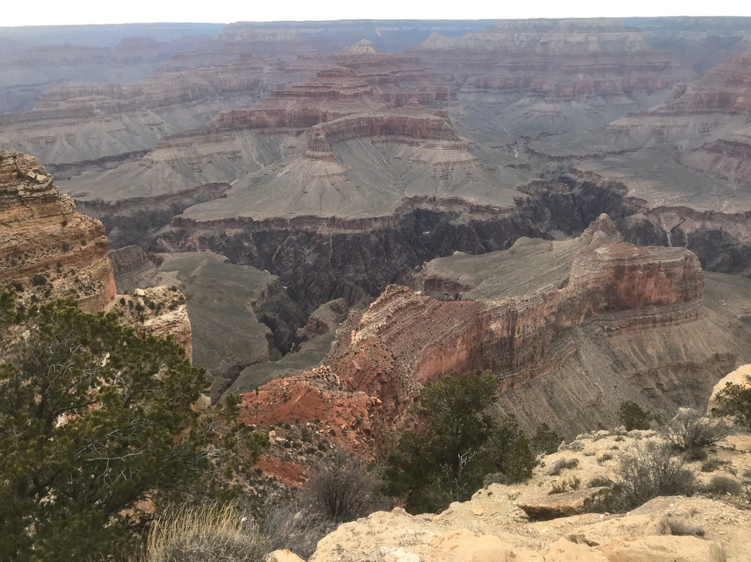 Powell Point-大峡谷国家公园必去景点