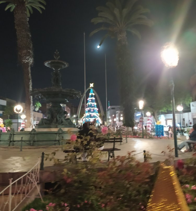 Arco Parabolico-塔克纳必去景点