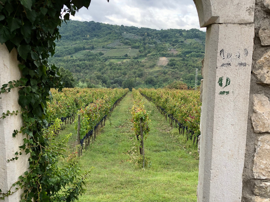 Cantine Antonio Caggiano-Taurasi必去景点