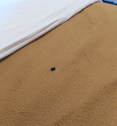 OYO 1655 Grand Senggigi Hotel主图