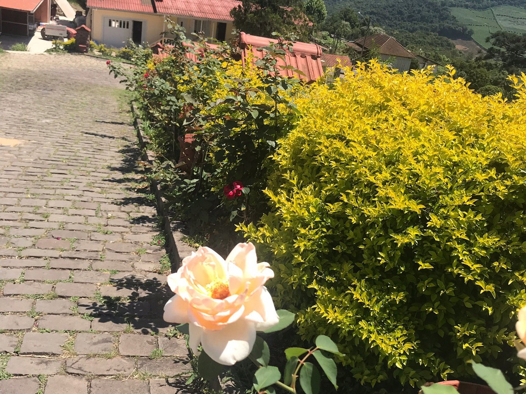 Pousada Terragnolo主图