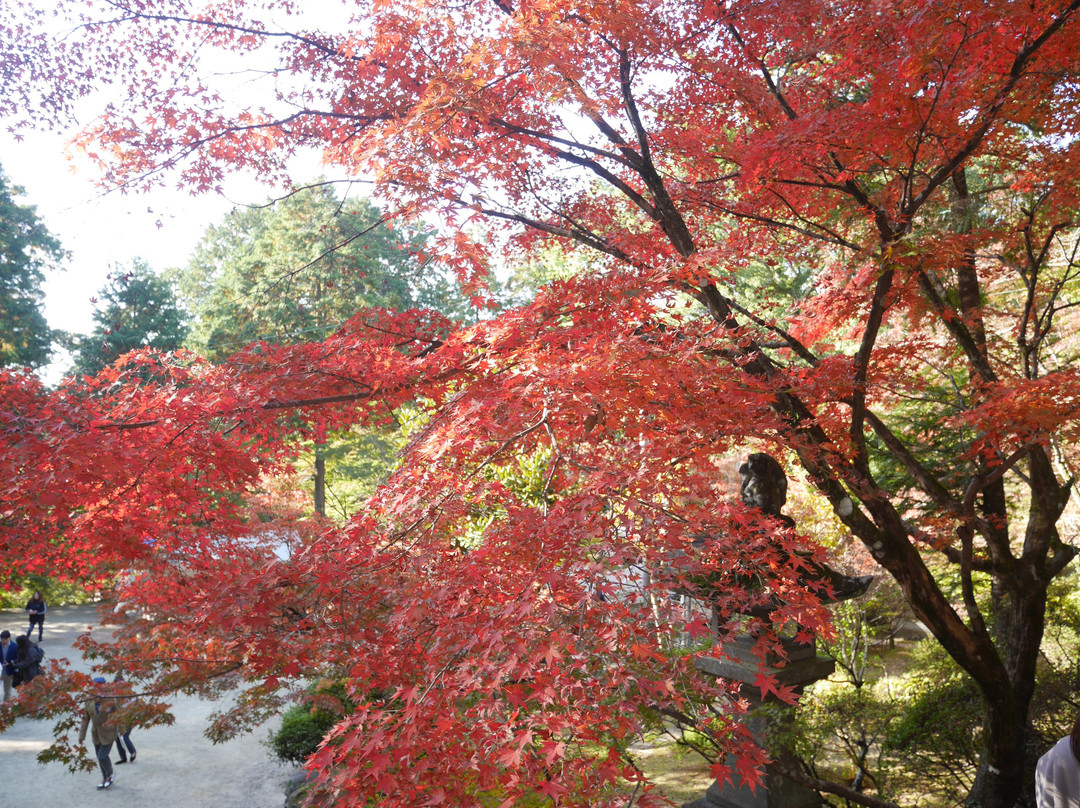 Niiyama Shrine-神埼市必去景点