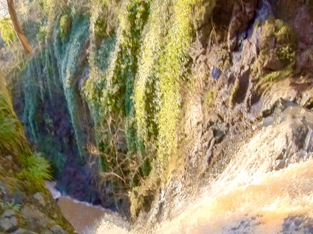 Den Finella Waterfall景点图片