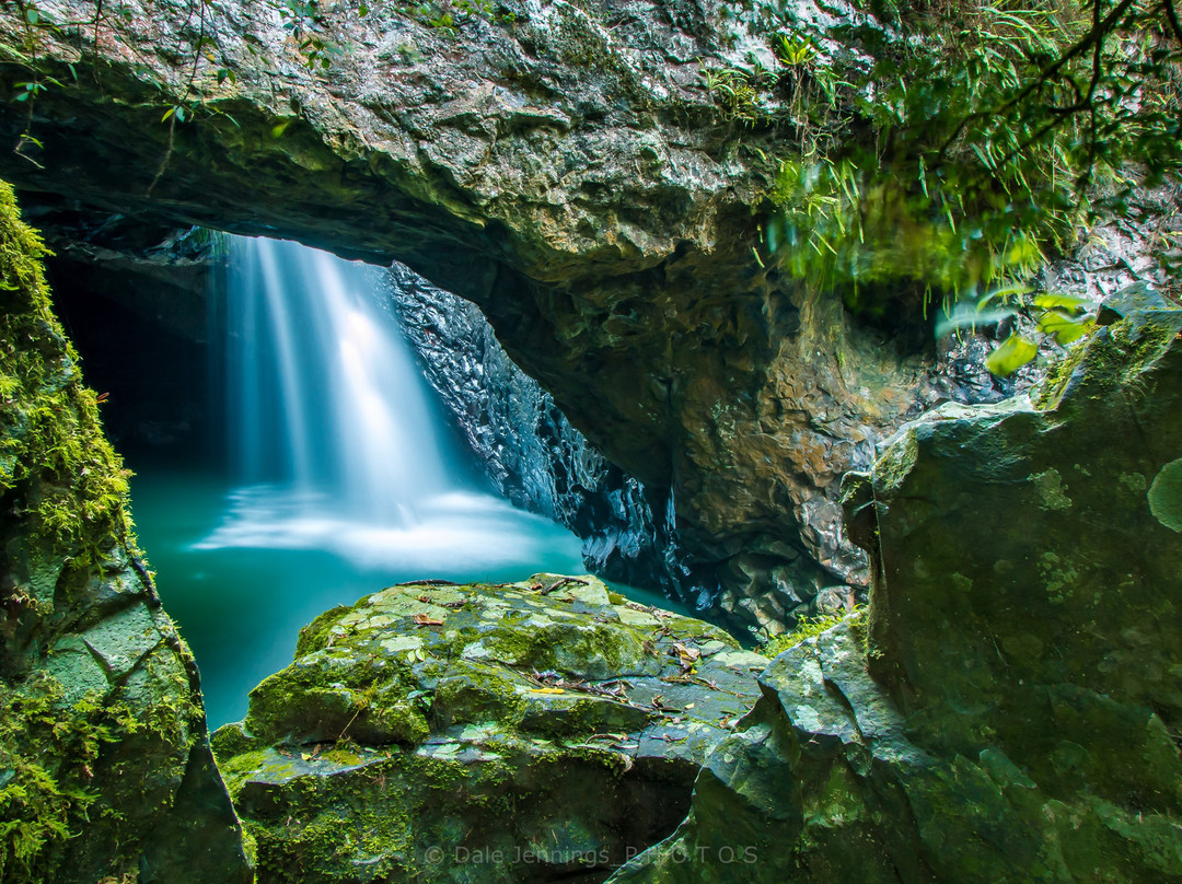 Rainforest Tours Australia-黄金海岸必去景点