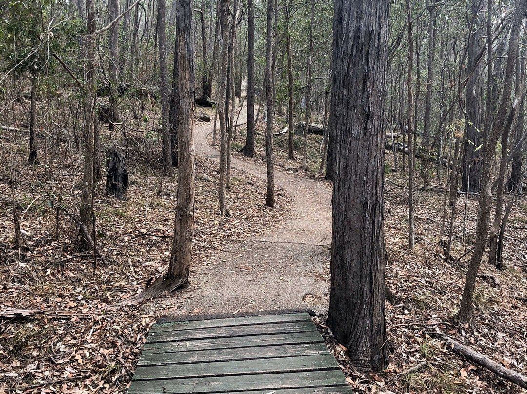 Springwood Conservation Park景点图片