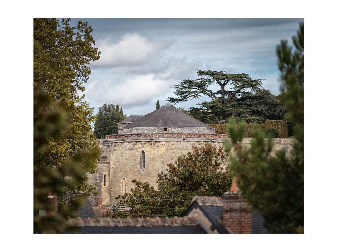 Photograph France-昂布瓦斯必去景点