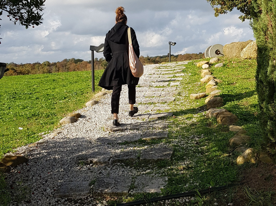 Agriturismo Cerrosughero主图