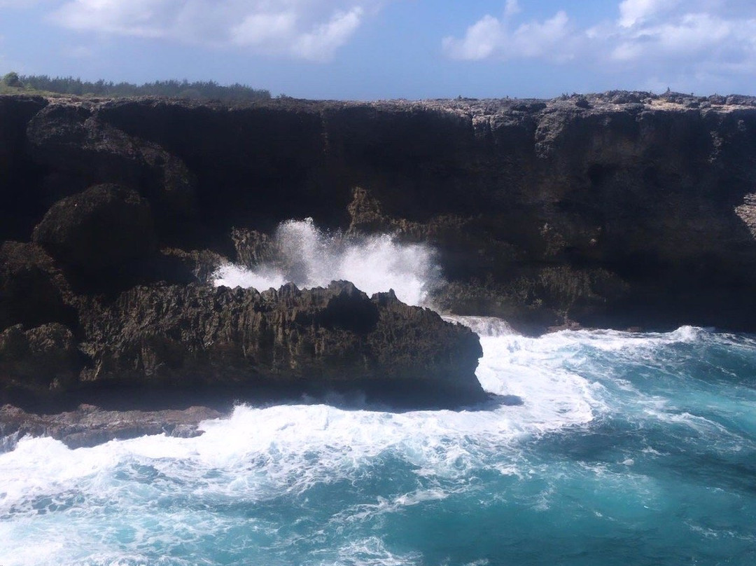 Hang Ten Adventures-布里奇顿必去景点
