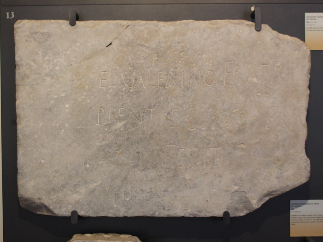 Museo Civico archeologico e di Scienze Naturali F. Eusebio-阿尔巴必去景点