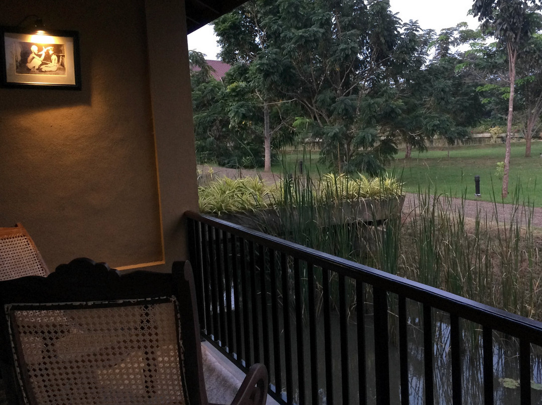 Seerock the King's Domain主图