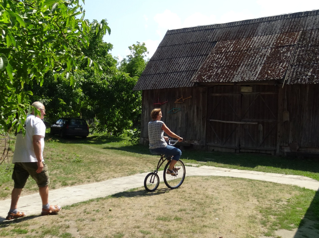 Museum of Unusual Bicycles景点图片