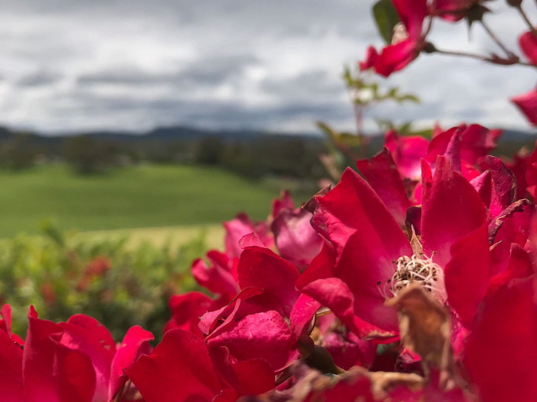 Foster Cemetery-福斯特必去景点