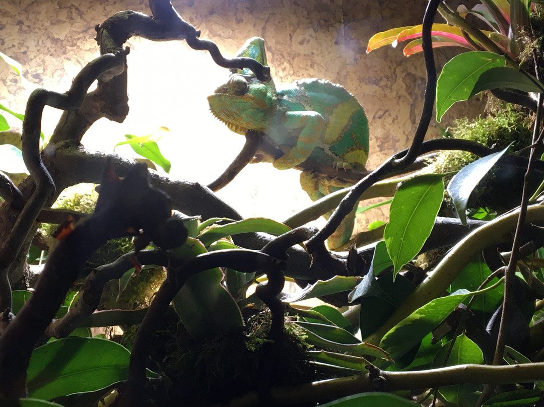 Blumengärten Hirschstetten-维也纳必去景点