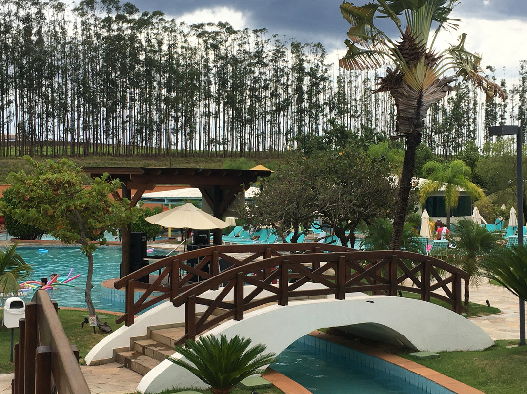 Blue Tree Thermas de Lins主图