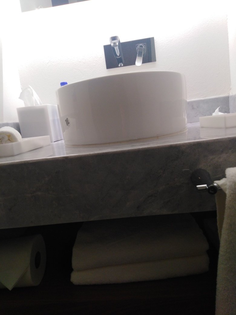 Gamma Orizaba Grand Hotel de France-浴室