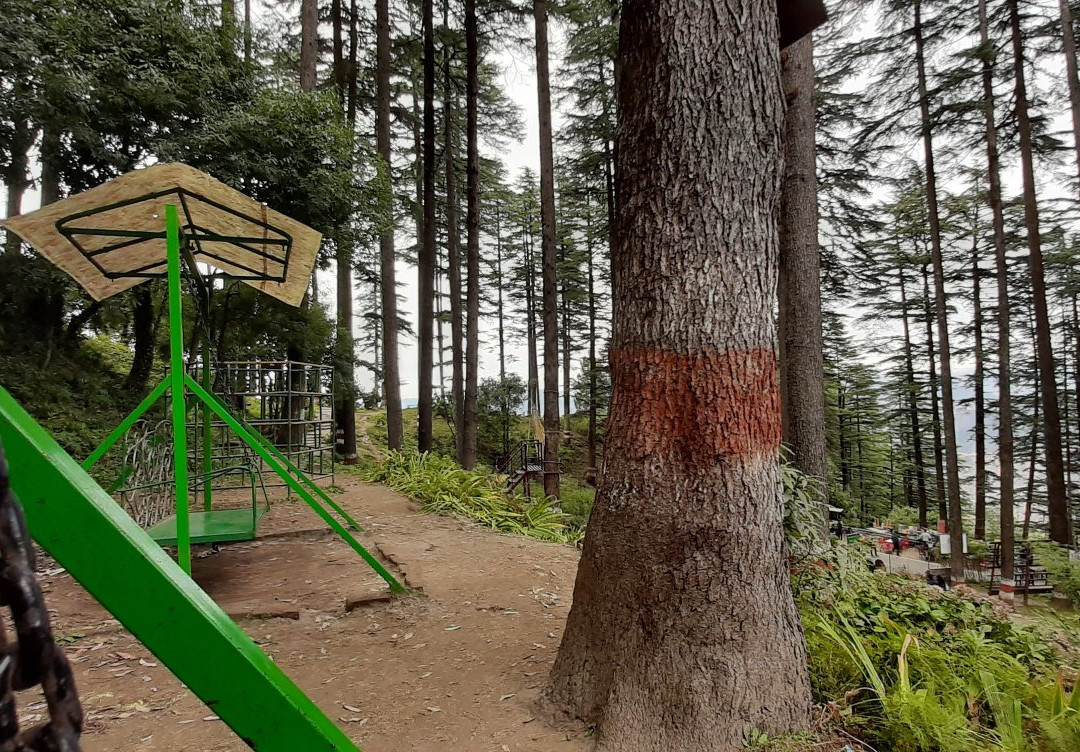 Eco Park景点图片
