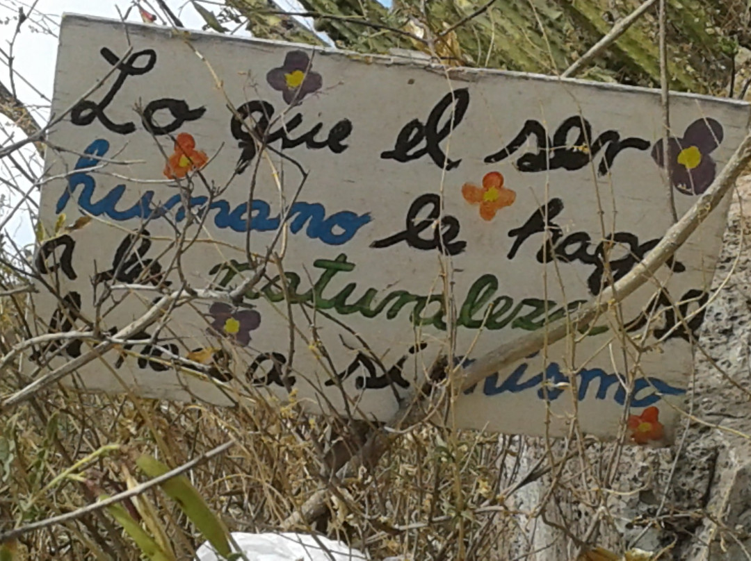 Sogay Waterfall-阿雷基帕必去景点