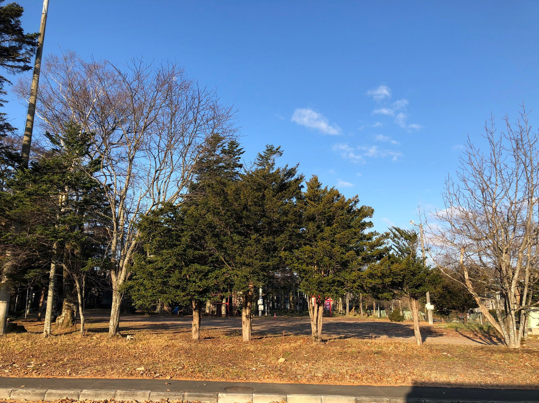 Kawakami Shrine景点图片