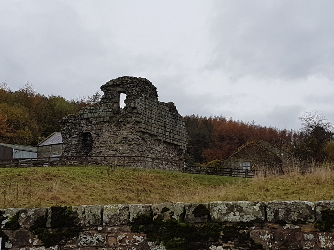 Tosson Tower Farm主图