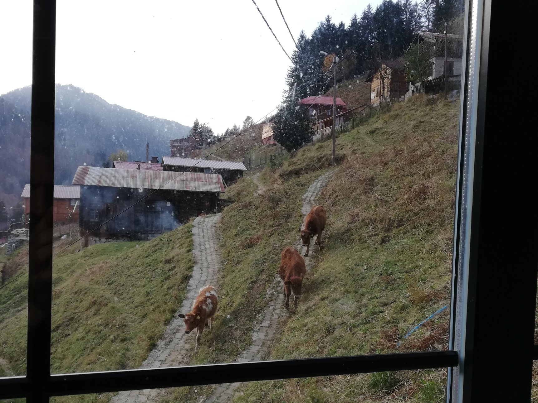 Ayder Villa de Pelit Hotel-portrait