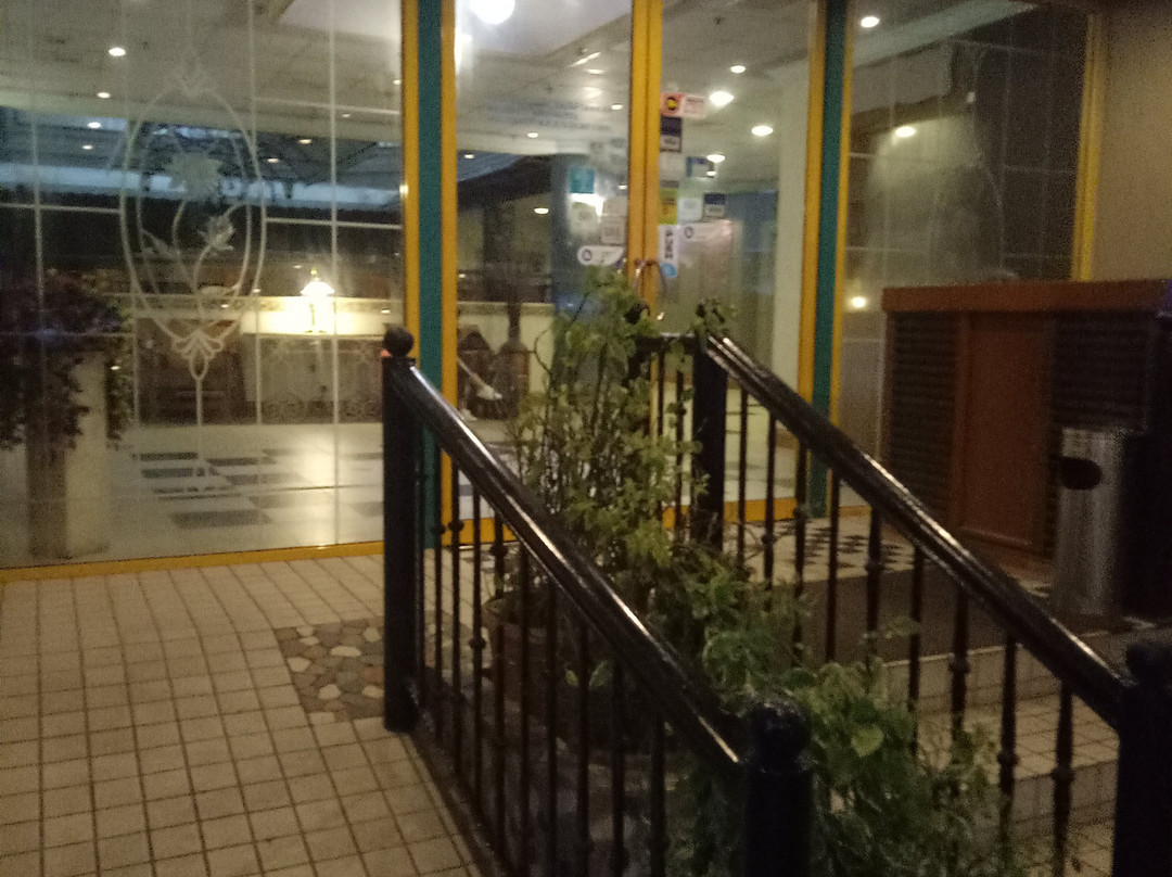 阿鲁大酒店主图