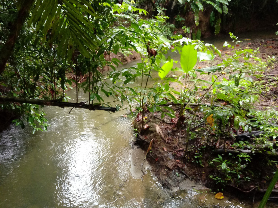 Sirena Ranger Station-Corcovado National Park必去景点