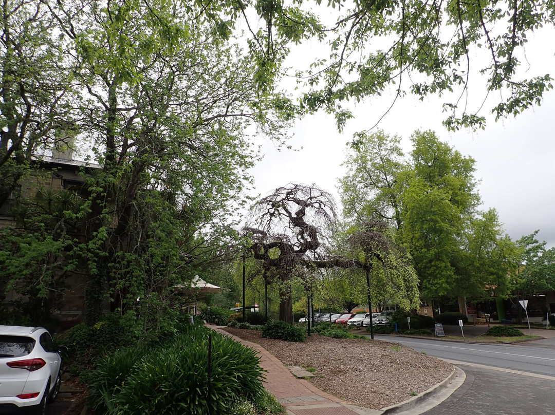 The Stirling Hotel Accommodation主图